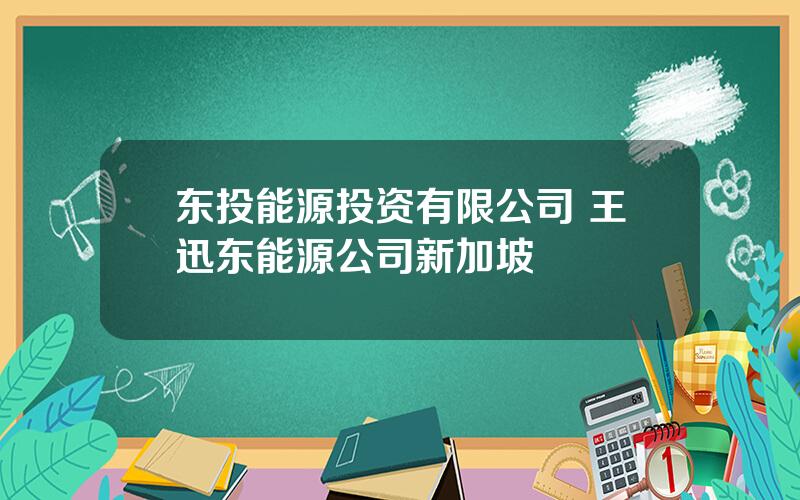 东投能源投资有限公司 王迅东能源公司新加坡